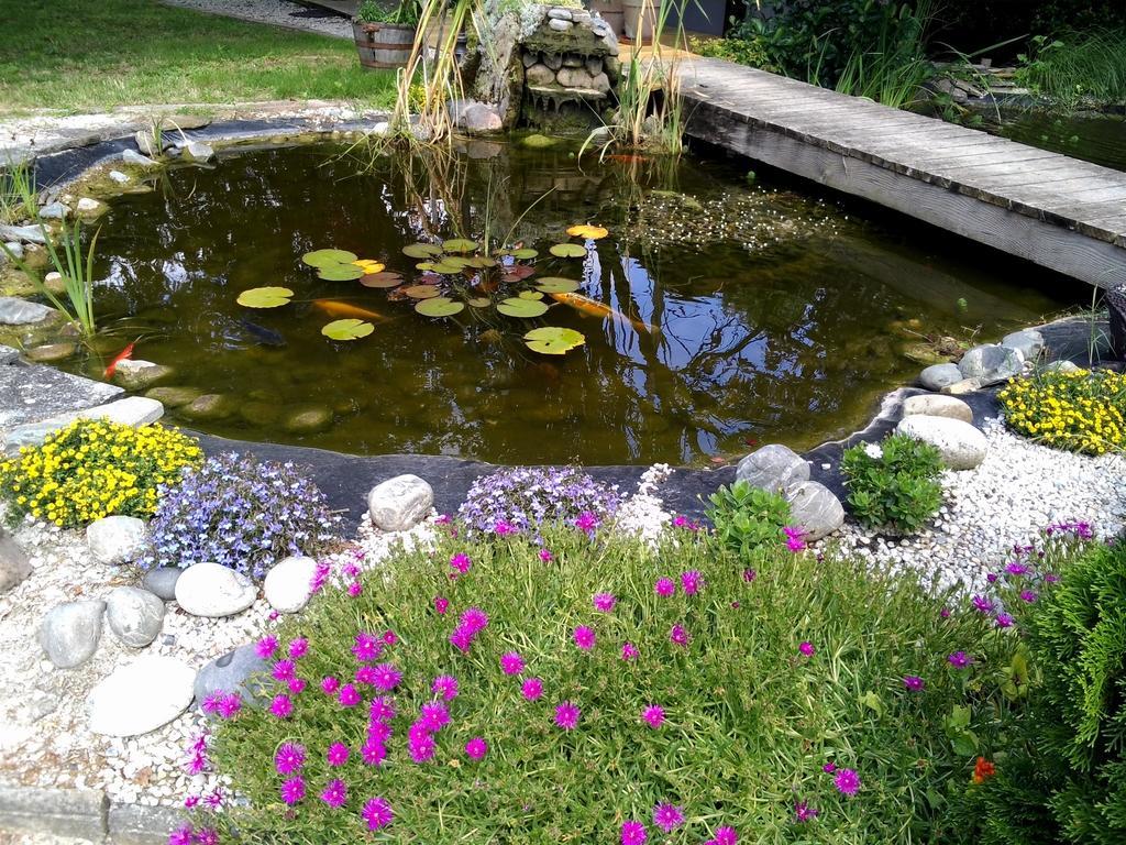 Bed and Breakfast Le Bassin Du Tertre Fronsac  Exterior foto